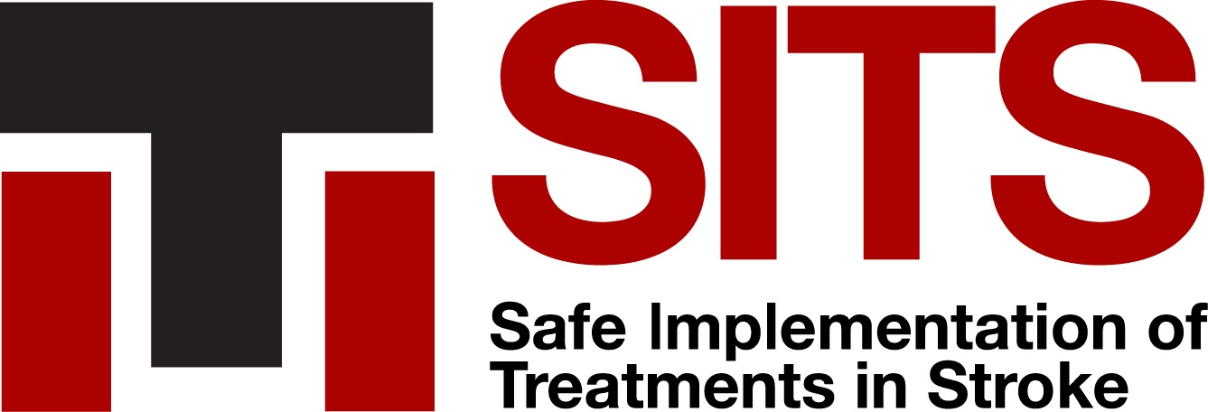 SITS International Logo